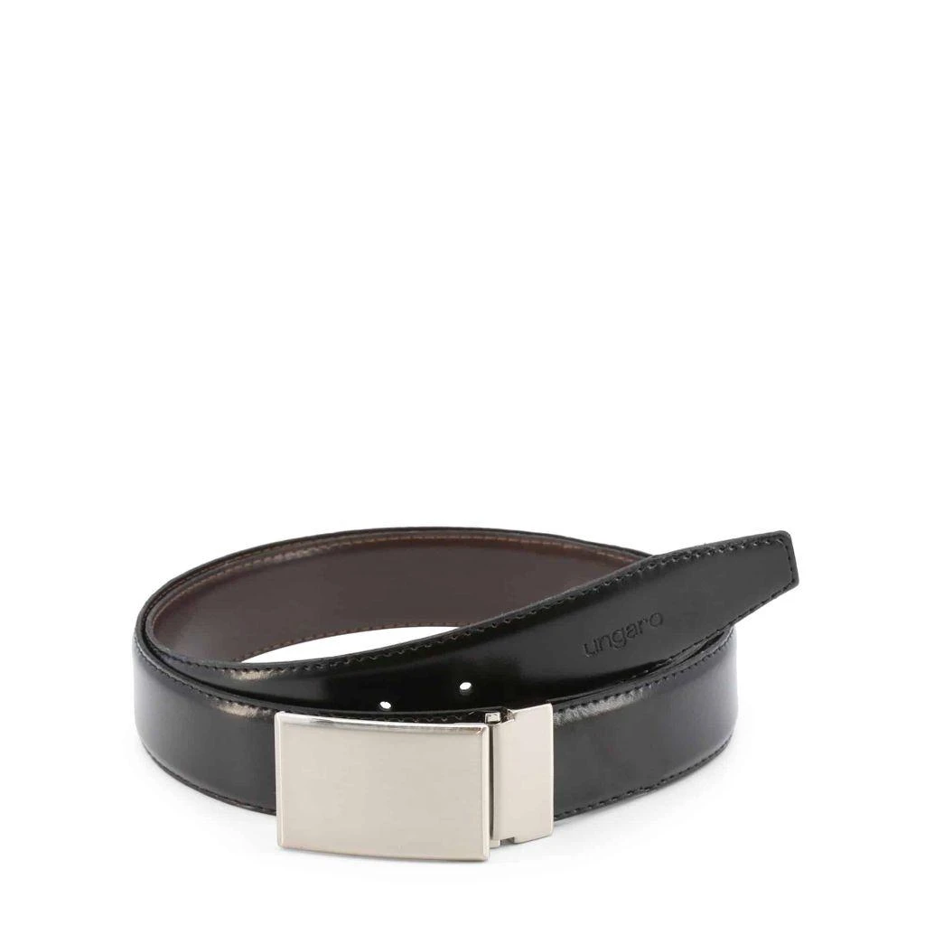 Ungaro Belts Brown Men 1