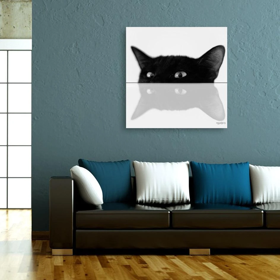 Curioos Cat 2