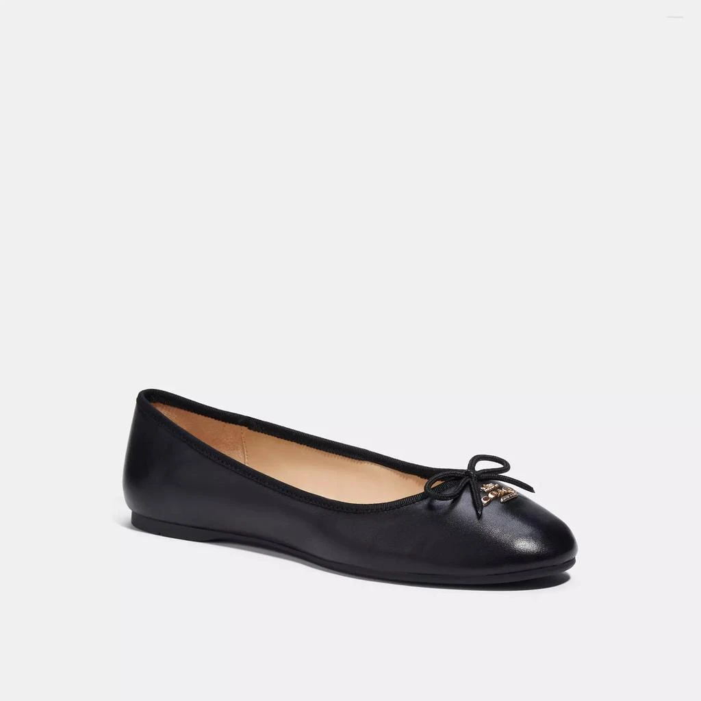 Coach Alina Ballet 1