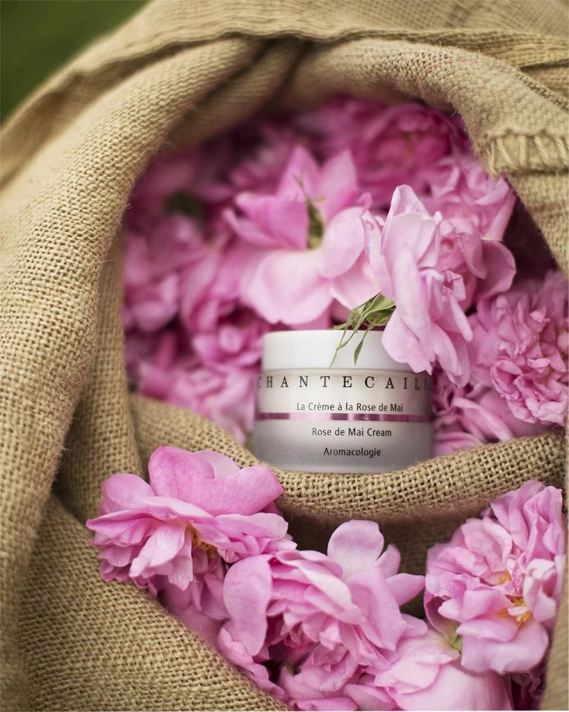 Chantecaille Rose de Mai Cream, 1.7 oz. 5