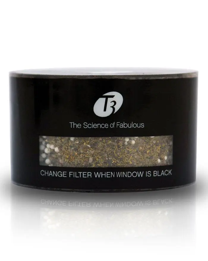 T3 Source Filter for Showerhead