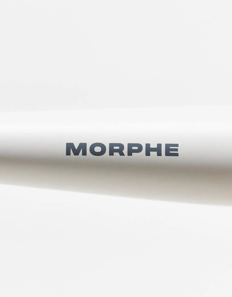 MORPHE Morphe M161 Large Rounded Powder Brush 3