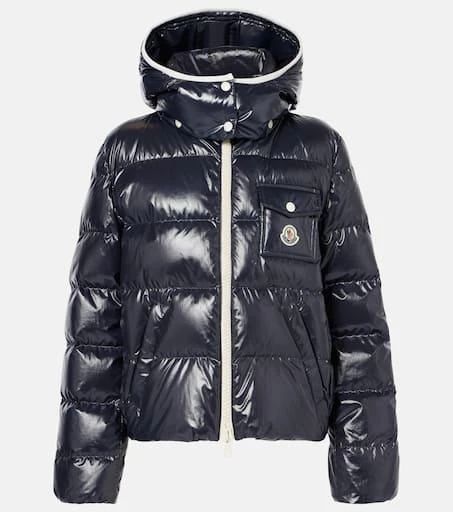 Moncler Andro down jacket 1