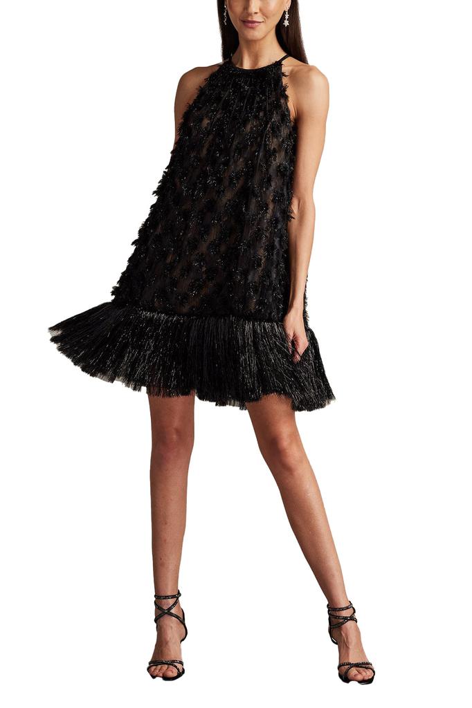 Tadashi Shoji Prima Sequin Tulle Trapeze Mini Dress