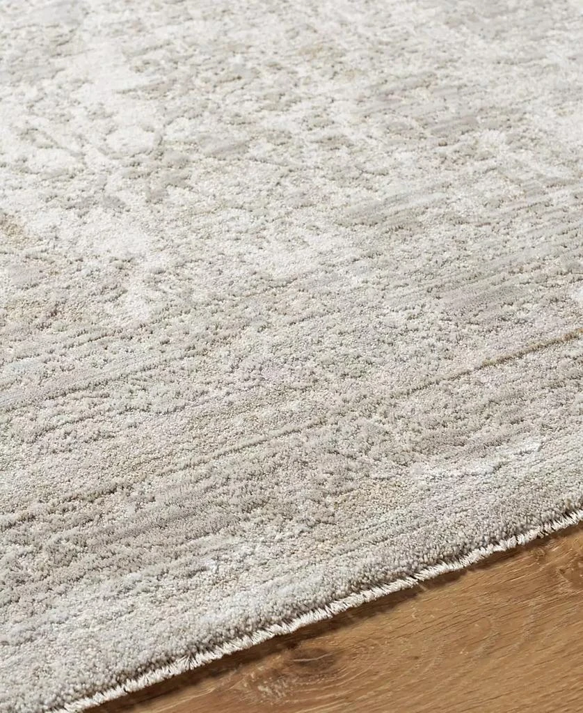 Livabliss Masterpiece MPC-2301 10'x13'11" Area Rug 3