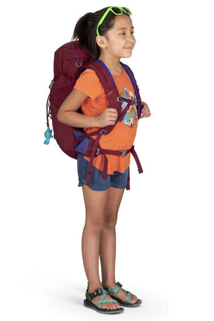 Osprey Osprey Jet 18 Kid
s Hiking Backpack 5