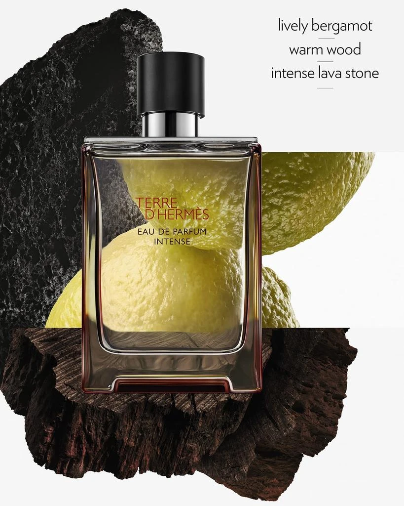 Hermes Terre d'Hermes Eau de Parfum Intense, 1.7 oz. 3