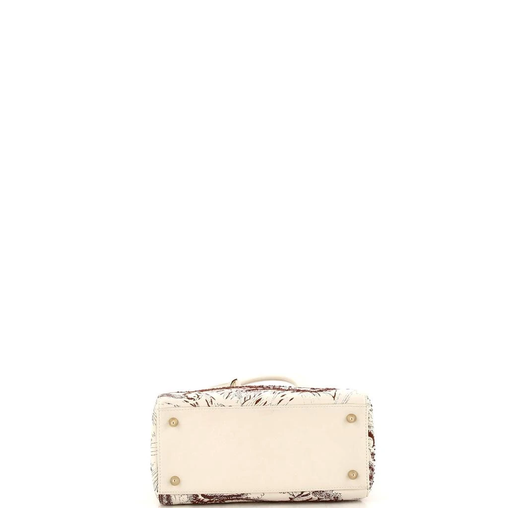 Dior Toile de Jouy Lady Dior Bag Beaded Leather Medium 4