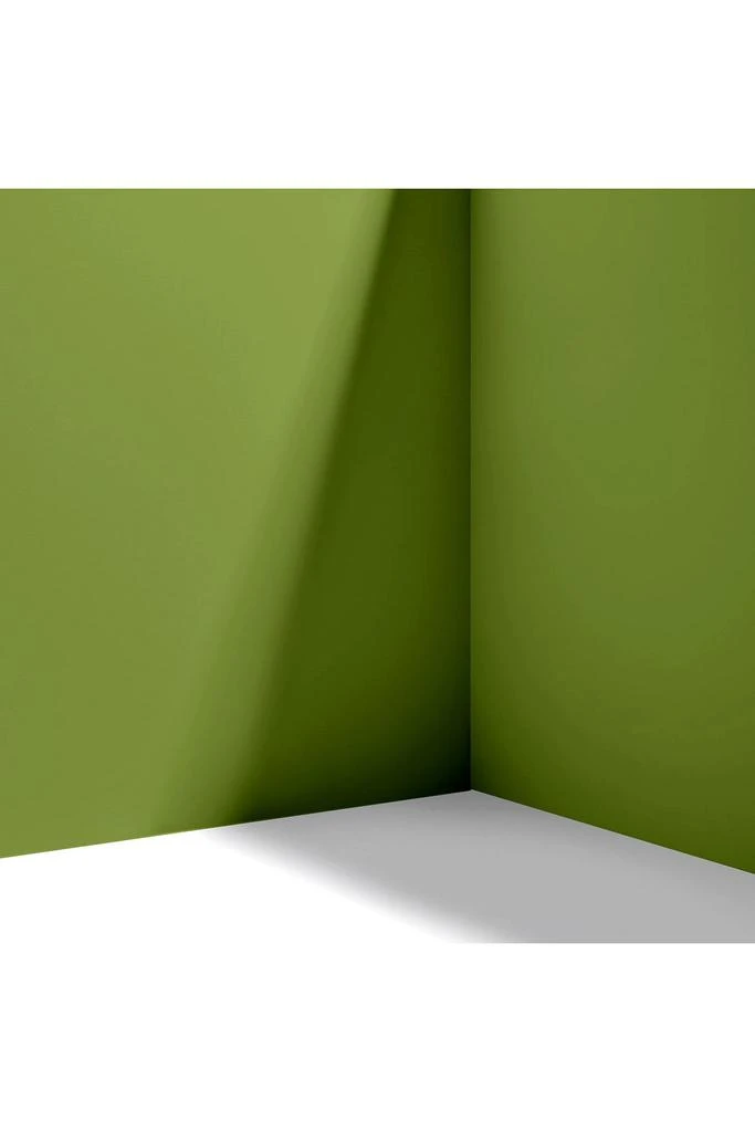 Backdrop Backdrop Standard Finish Paint - 1 Gallon 4