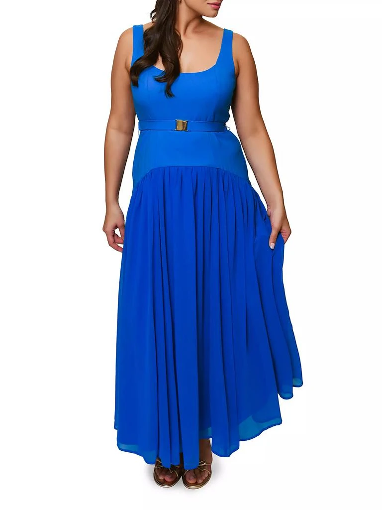 Hutch Ridge Drop-Waist Maxi Dress 3