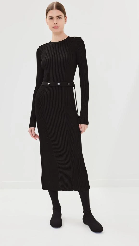 Proenza Schouler Lauryn Dress in Silk Viscose Knit 6