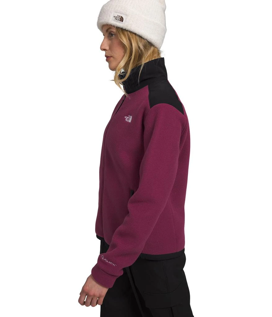 The North Face Alpine Polartec® 200 Full Zip Jacket 3