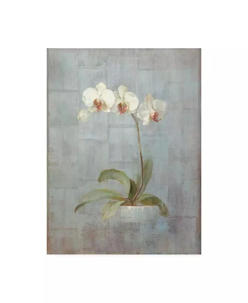 Trademark Global Danhui Nai Elegant Orchid II Canvas Art - 15.5" x 21"