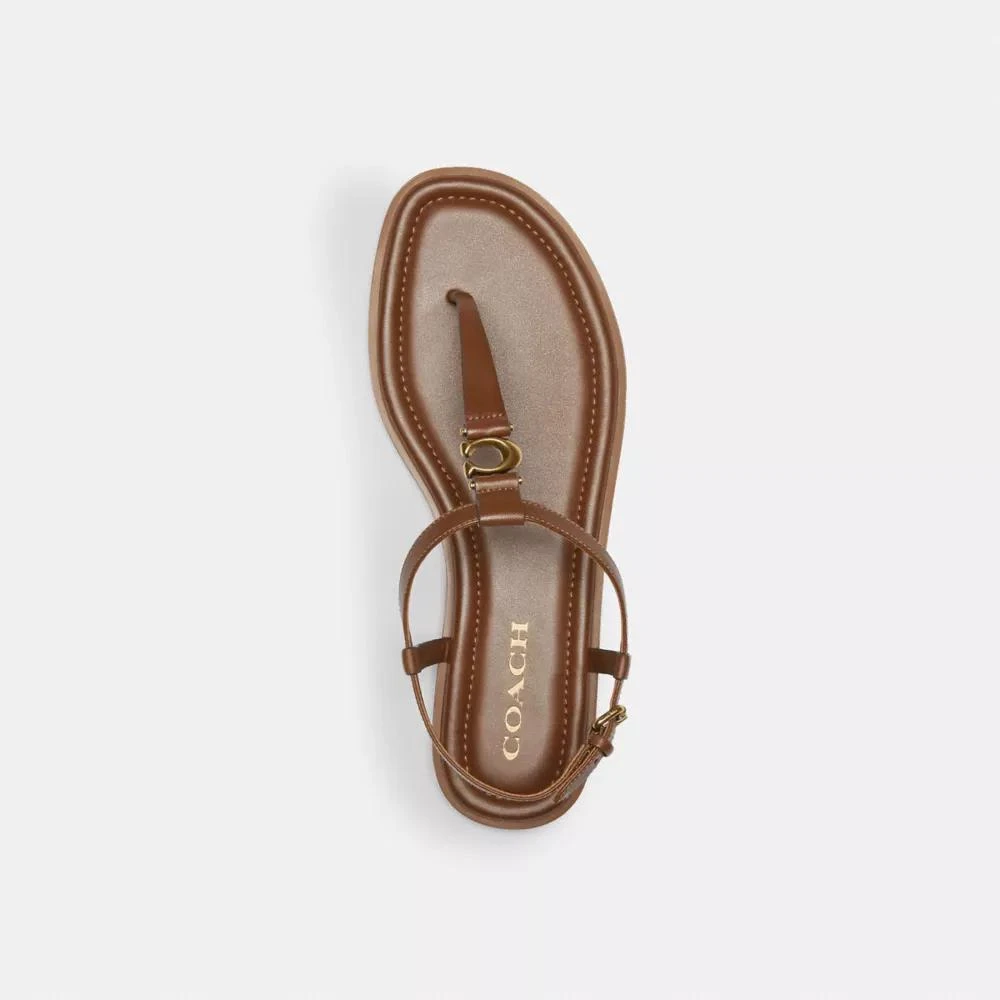 Coach Jessica Sandal 3