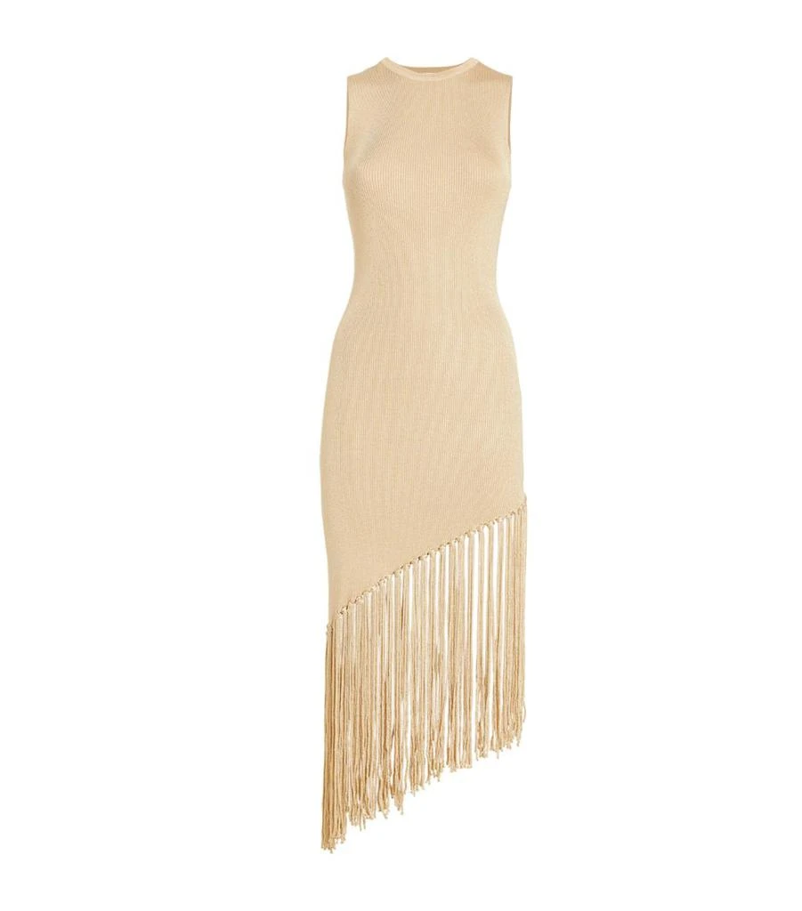 Sandro Fringe-Detail Midi Dress 1