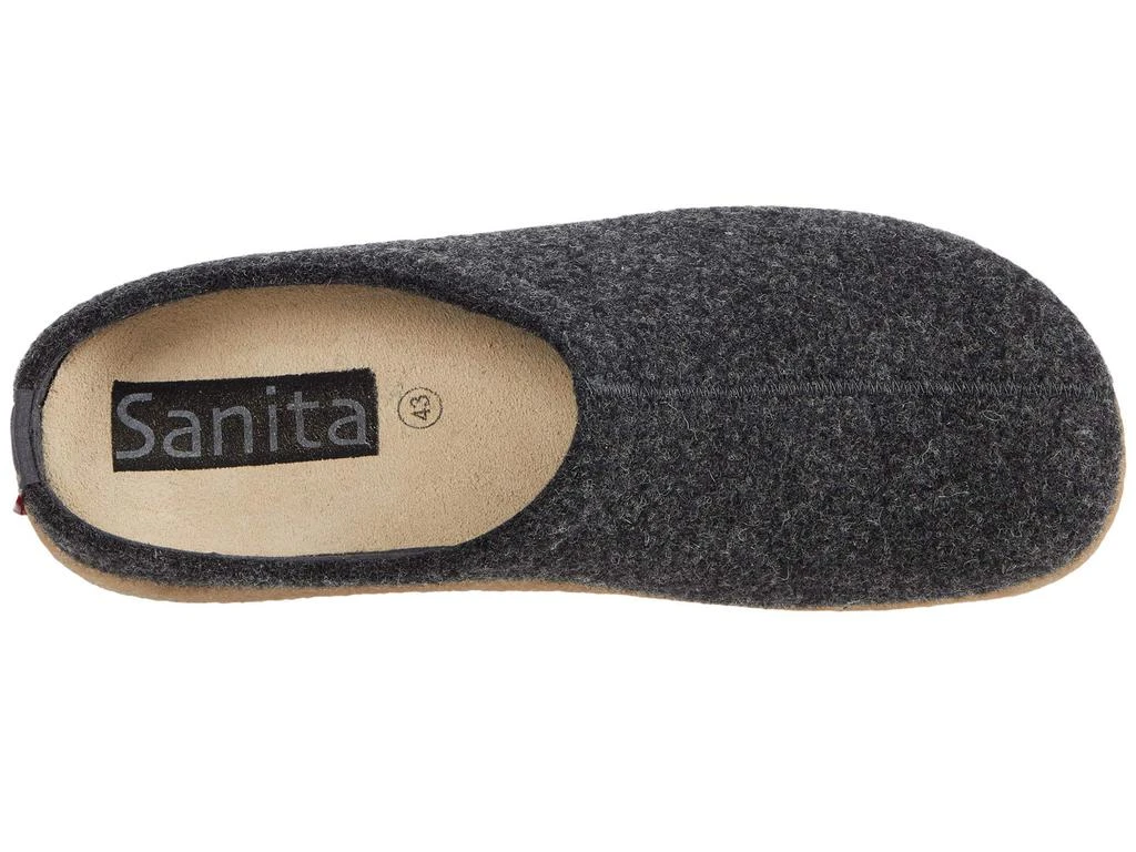 Sanita Lodge Slide 2