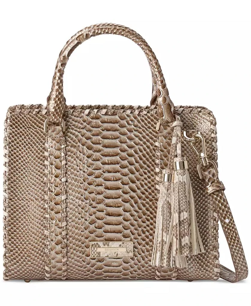 Brahmin Cami Gisela Leather Satchel 3