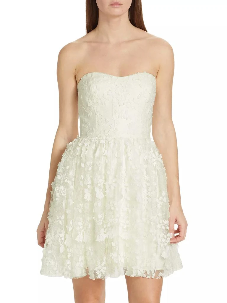 Monique Lhuillier Strapless Embroidered Tulle Minidress 3