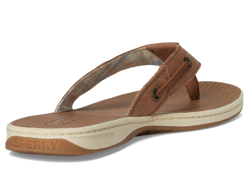 Sperry Sea Fish 5