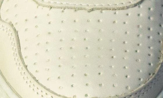 Sandro Moscoloni Low Top Leather Sneaker 6