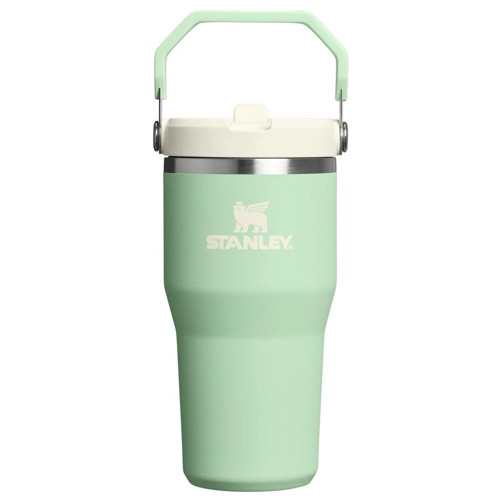 Stanley The IceFlow™ Flip Straw Tumbler | 20 OZ 1