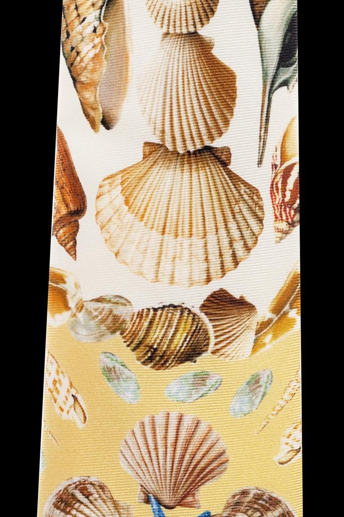 Dolce & Gabbana Dolce & Gabbana Shell Printed Tie