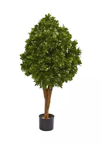 NEARLY NATURAL Natural Tea Leaf Tree Indoor Outdoor