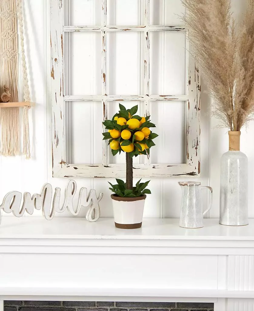 NEARLY NATURAL Lemon Ball Artificial Topiary Arrangement 5