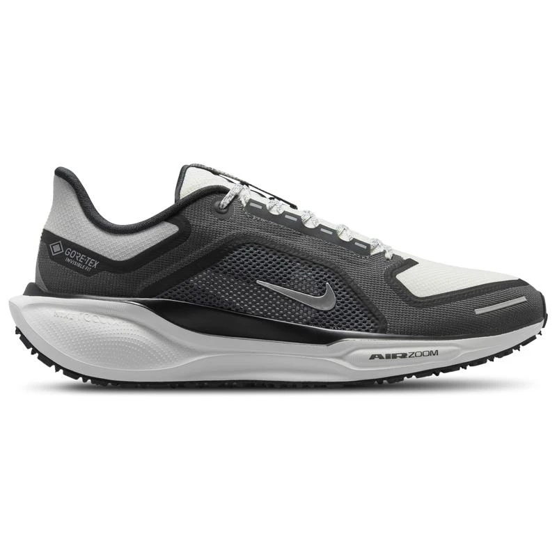 NIKE Nike Air ZOOM Pegasus 41 GTX - Men's 1
