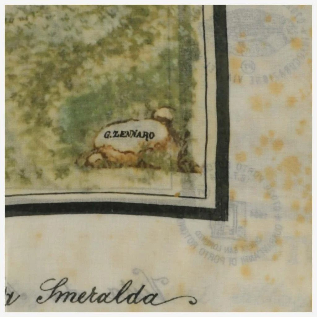 Faliero Sarti Faliero Sarti Printed Scarf 2
