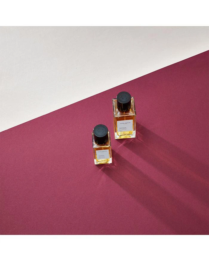 Sana Jardin Celestial Patchouli Eau de Parfum 8