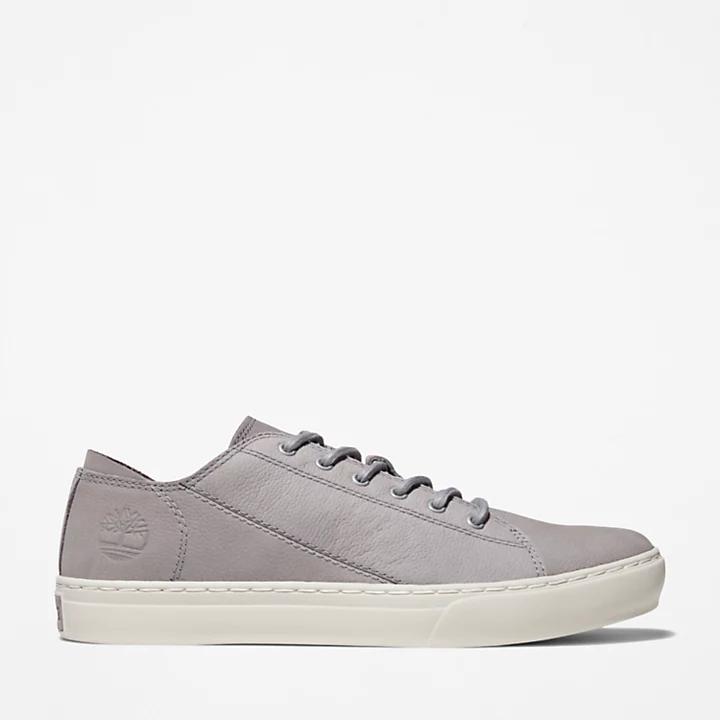 Timberland Adventure 2.0 Cupsole Oxford for Men in Grey