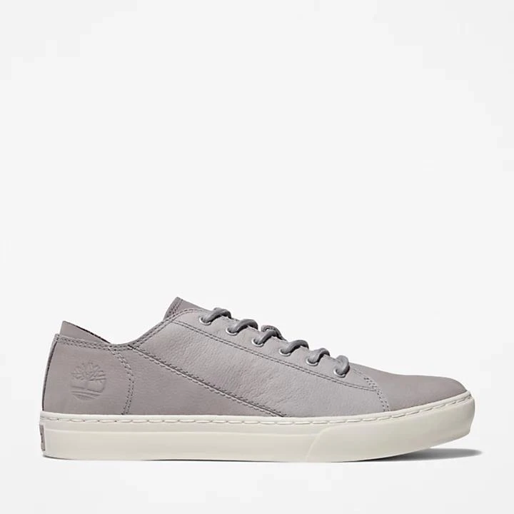 Timberland Adventure 2.0 Cupsole Oxford for Men in Grey 1