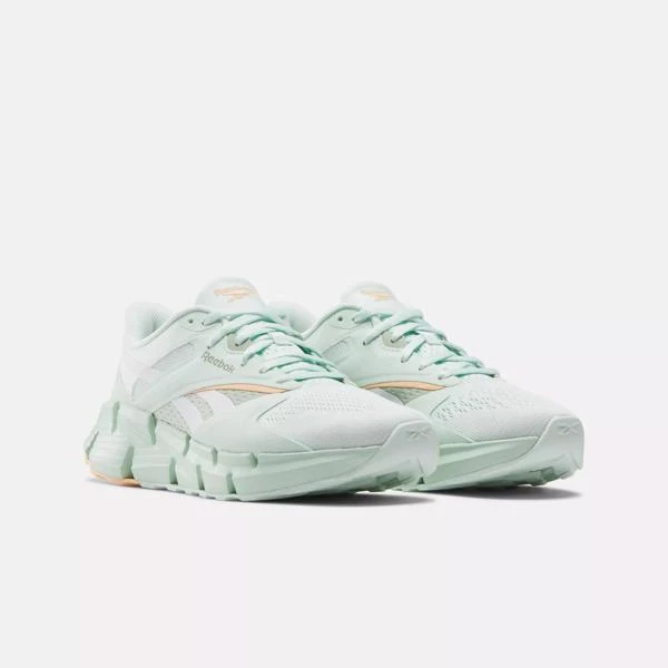 Reebok Zig Dynamica 5 Shoes 2