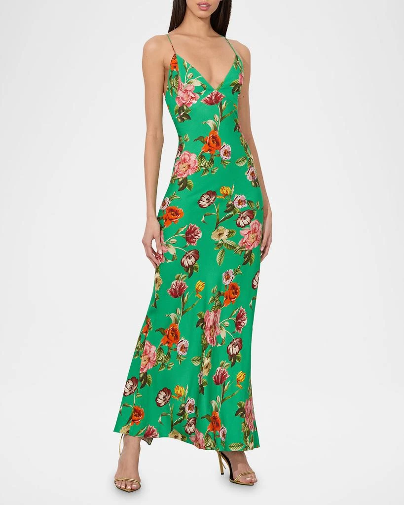 Alice + Olivia Hampton Floral Loma V-Neck Maxi Slip Dress 4