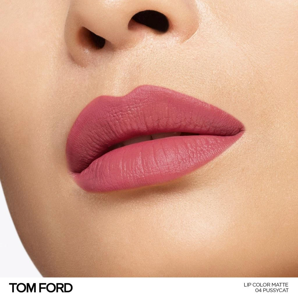 Tom Ford Lip Color Matte Lipstick 3