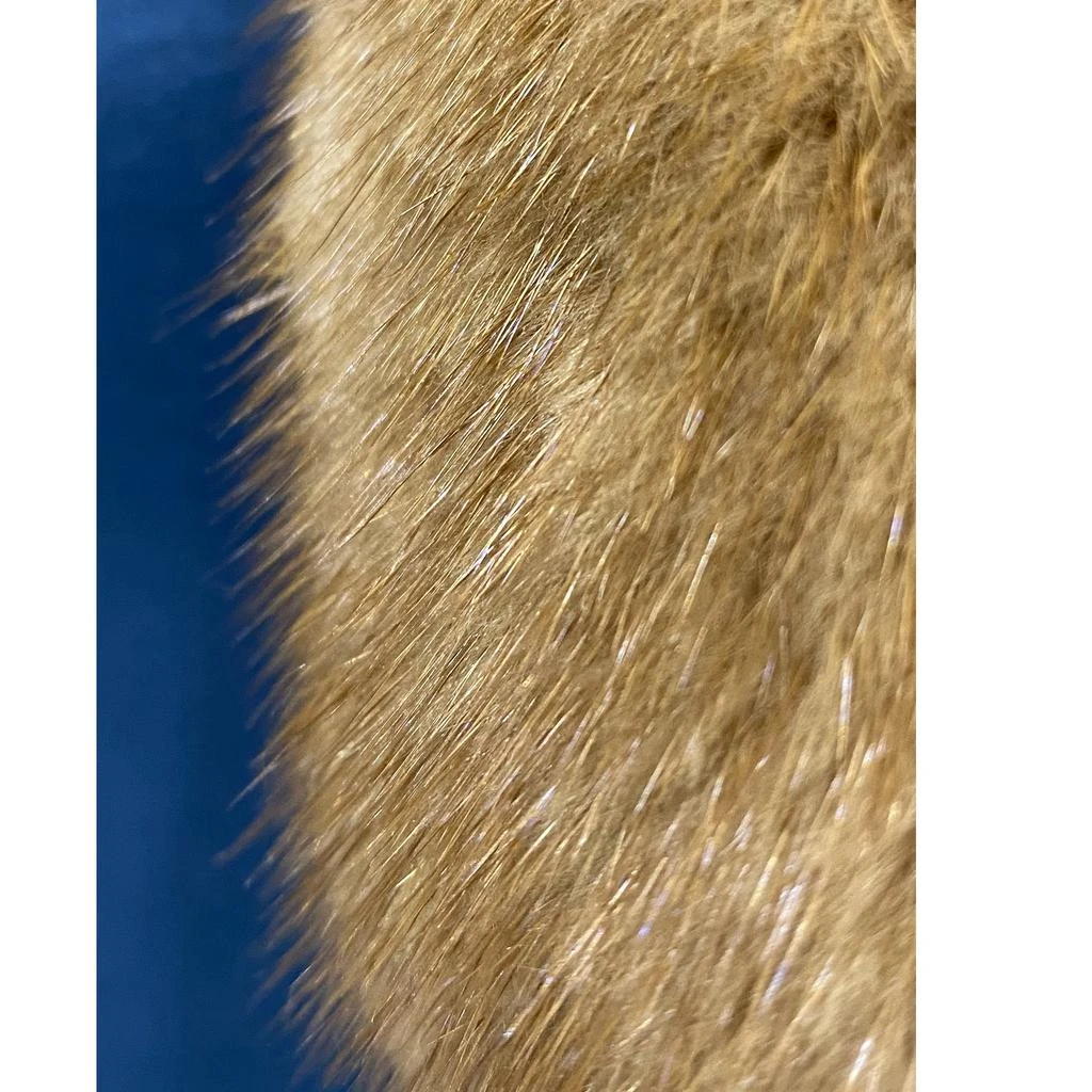 DSQUARED2 Dsquared2 Mink Collar Sleeveless Top 5