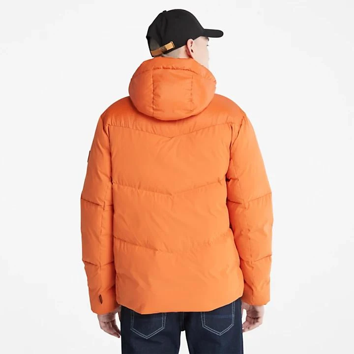 Timberland Neo Summit Hooded Jacket for Men in Brown 2