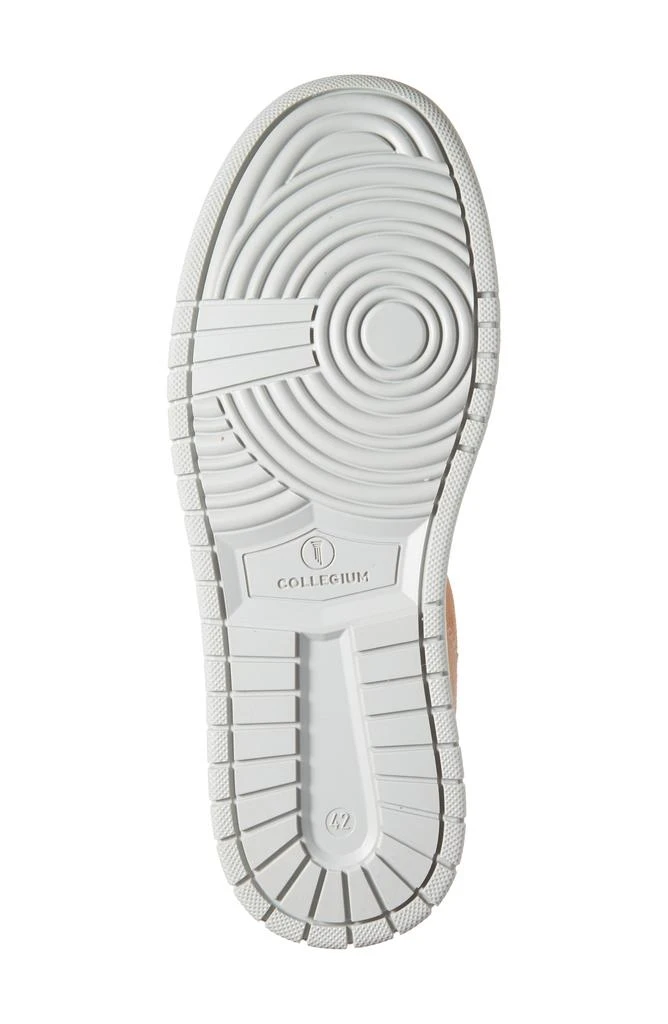 Collegium Alpha Sneaker 6