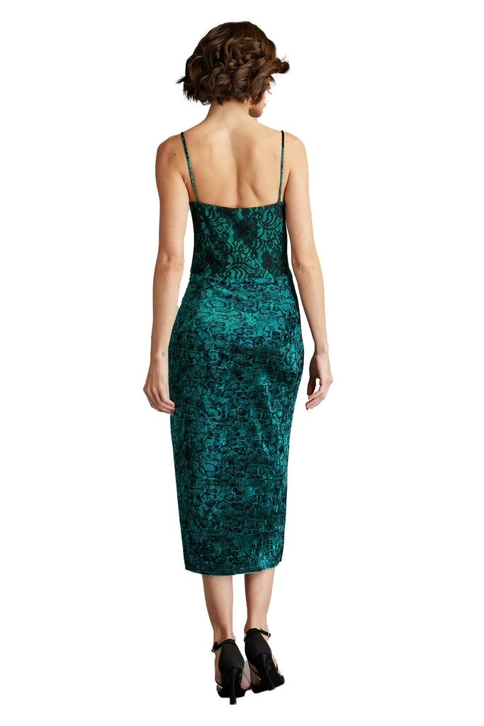chinese dress ladies Tadashi Shoji Women's Rhinestone Embroidered Long Sleeve Cocktail Dress - Natural