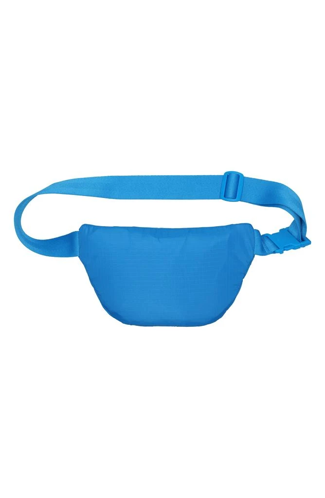 LeSportsac Everyday Crossbody Belt Bag 2