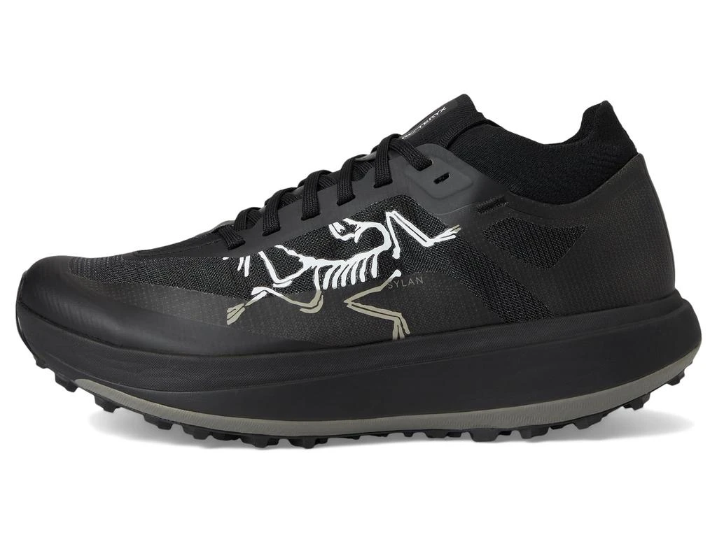 Arc'teryx Sylan Pro 4