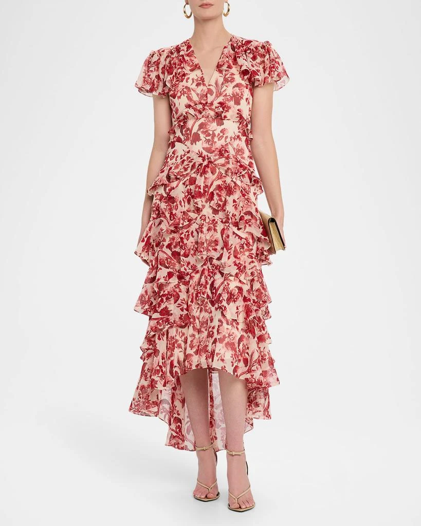 Cinq a Sept Tatum Floral Ruffled Maxi Dress 4
