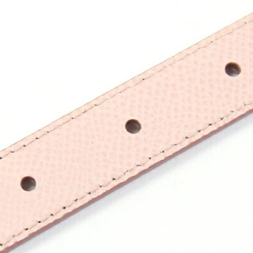 Salvatore Ferragamo Vara Standard Belt (Pre-Owned) 5