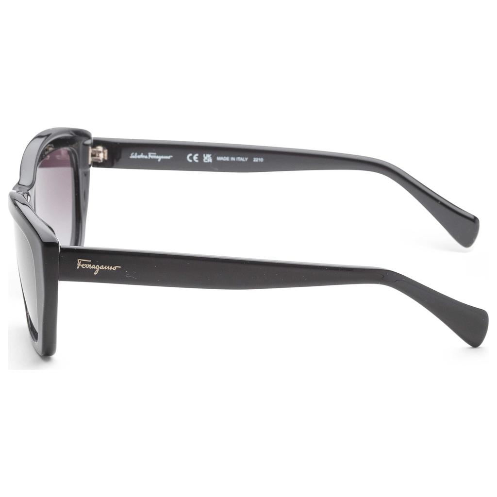 Salvatore Ferragamo Ferragamo Women
s Sunglasses SF958S-001