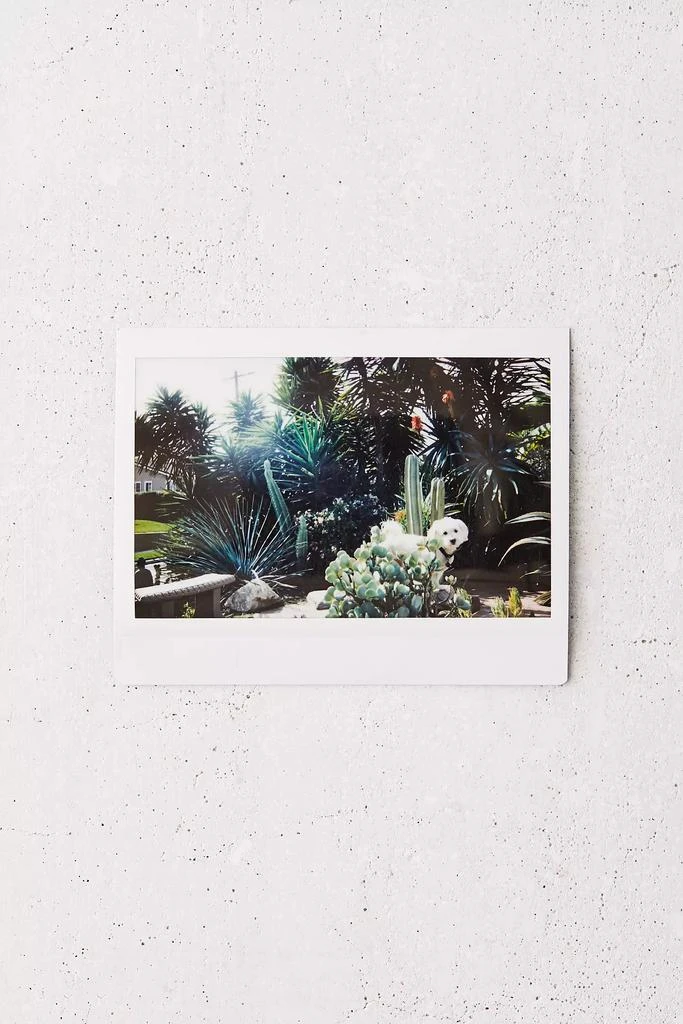Fujifilm Fujifilm INSTAX Wide Film 2