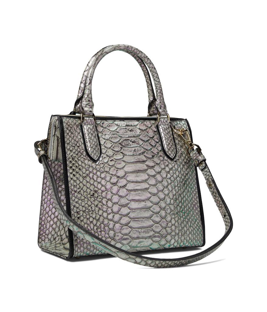 Brahmin Cimorene Small Caroline Satchel