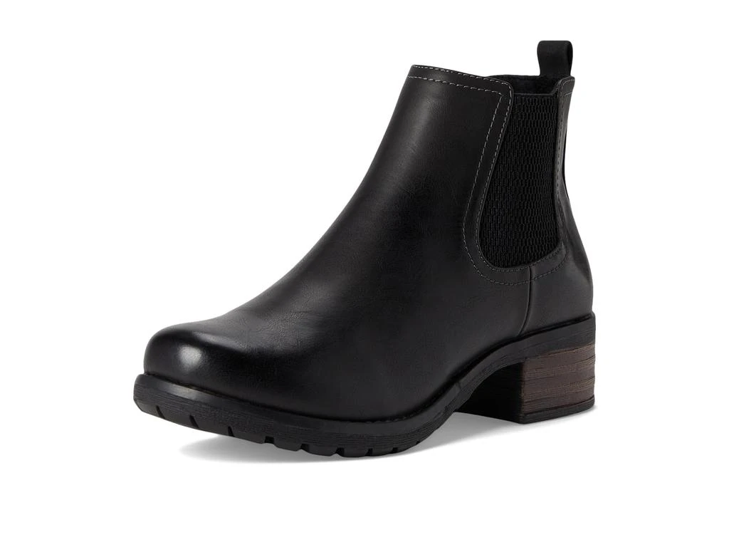 Eastland Jasmine 7