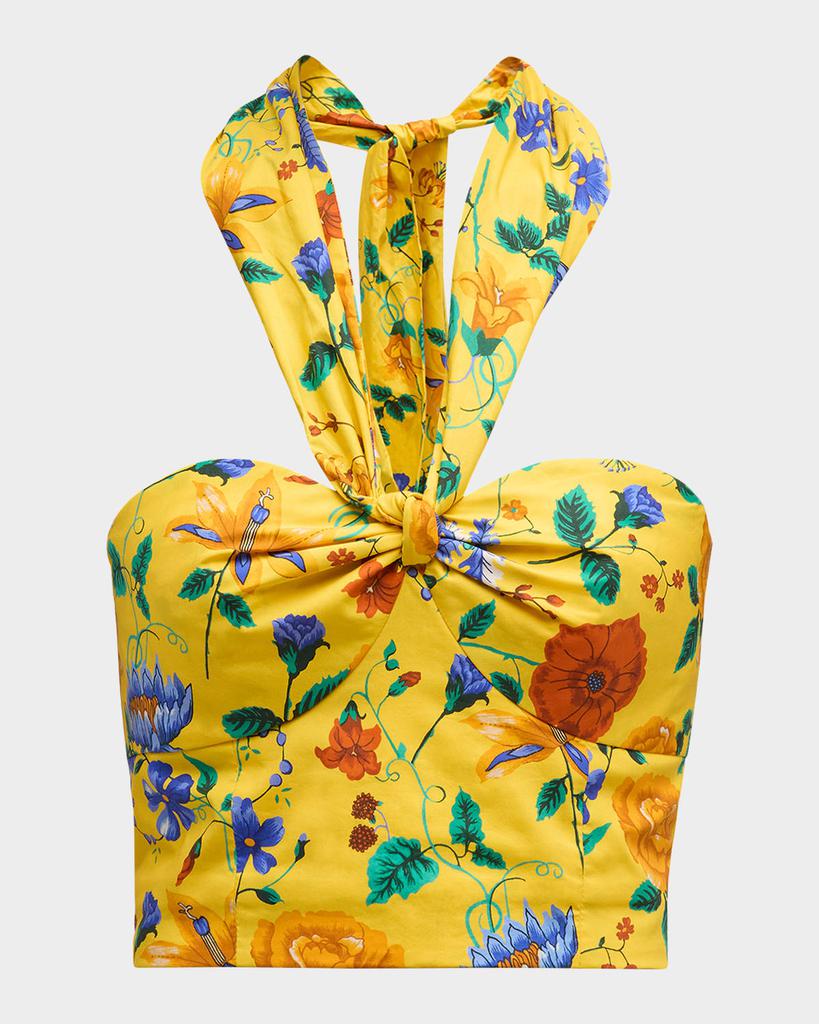 Cara Cara Piana Floral Cotton Poplin Halter Top