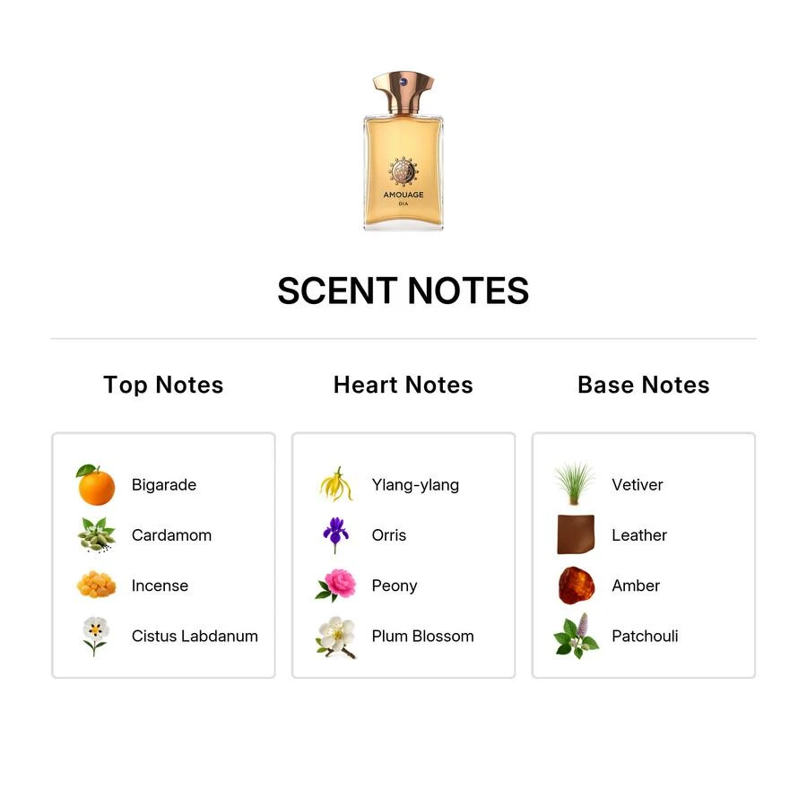 Amouage Amouage Dia Mens EDP 3